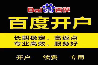 揭秘百度包年竞价优势：成功案例深度解析